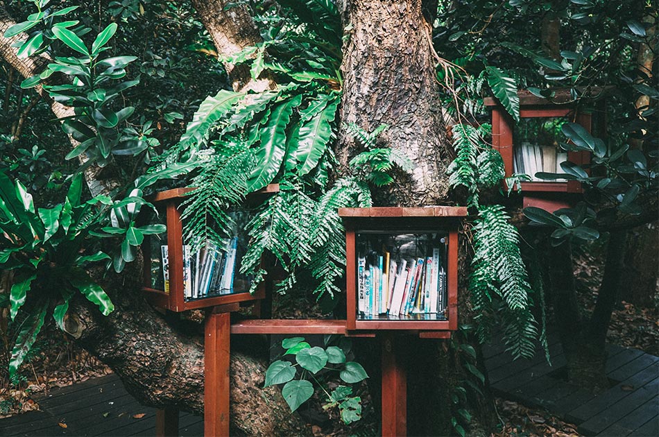 Bücherschrank mit Büchern im Wald