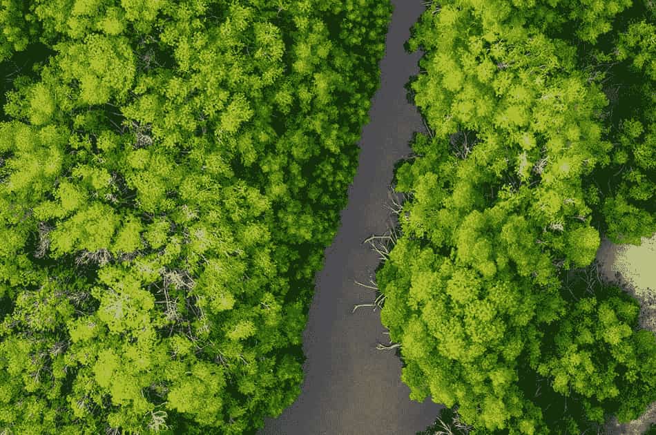 fluss