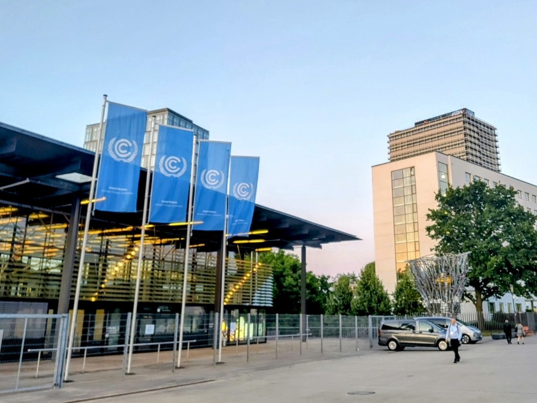 Nahaufnahme des Gesichts einer Frau mit Sommersprossen